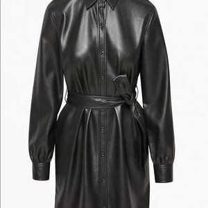 Aritzia Wilfred Caroline Dress